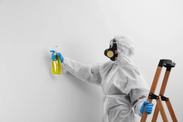 Mold Remediation for Rental Properties in Safety Harbor, FL